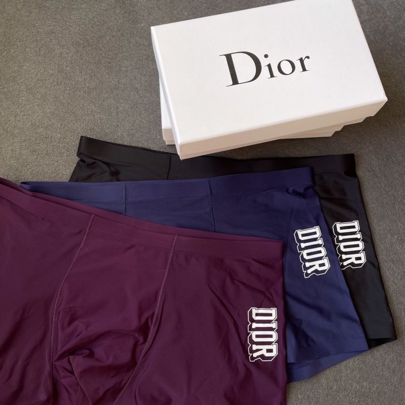 Dior Panties